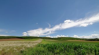 summer nature landscape sky cloud
