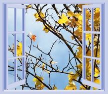 window november purple yellow