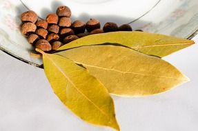 allspice aromatic bay leaf berry