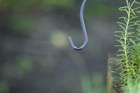 bokeh rosemary green hook hanger