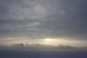 winter snow nature background