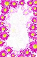 frame floral background flowers