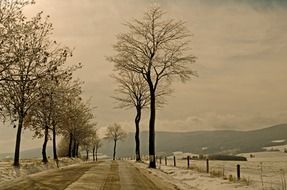 winter season snow landscape