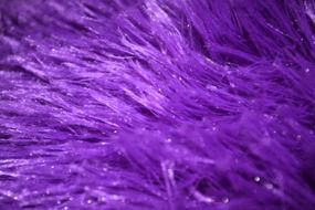 purple fur furry texture textured