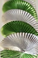 White green garland