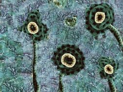 flower fabric brush abstract