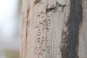 engraving carving wood texture