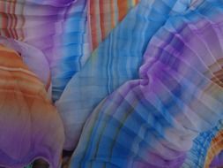 cloth stripes colorful artistic
