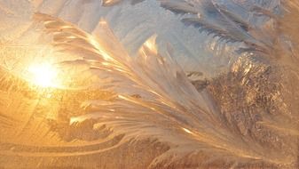 winter patterns freezes design