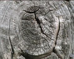 knot wood barn weathered wooden