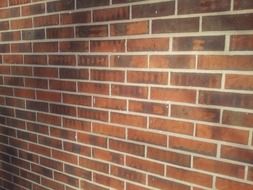 side view of a brick wall