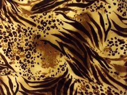 pattern tiger stripes print animal
