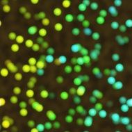 green blue yellow bokeh wallpaper