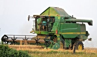 bauer agriculture field cereals