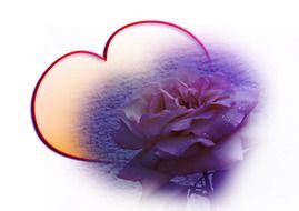 rose water loop heart love luck
