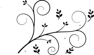 floral design decorative pattern