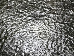 water rain pattern raindrop drip
