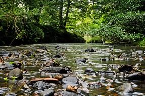 landscape background seasons river