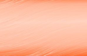 apricot background texture template