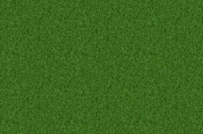 rush grass texture background