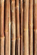 bamboo wood pattern template background