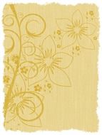 clipart of beige background with floral pattern