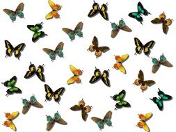 background butterflies design