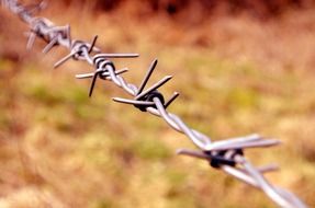 wire barbs danger border fence