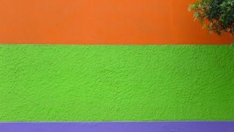 wall color green orange violet