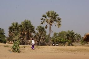 woman beach palmtree african