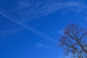 blue clouds branch tree sky