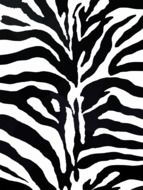 zebra pattern design texture