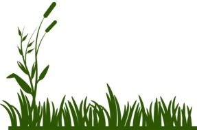 grass background green decoration