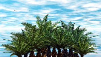 palm trees on the blue sky background