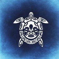 turtle abstract beautiful