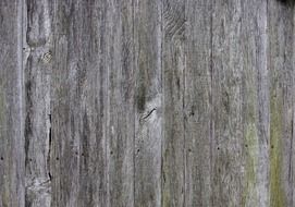 wood wooden background texture