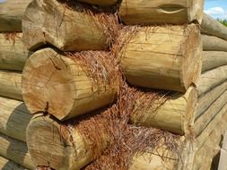 wood log logs chopped stack pile