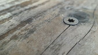 wood abstract material texture