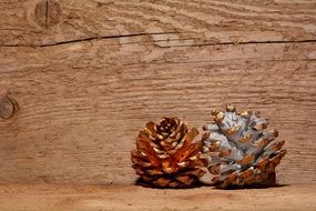 two cones on the background of a wooden wall