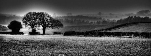 north nature tree yorkshire field