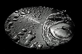 drop drops rain water macro