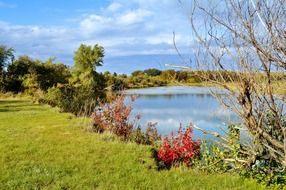 autumn background landscape nature