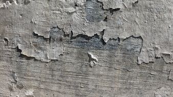 Texture of chips on a grey wall