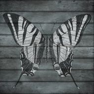 wood butterfly wooden slats black