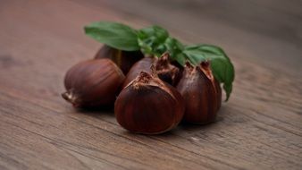 chestnut brown food nutrition