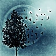 tree birds bird sun background