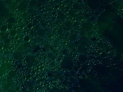 dark green oil eyes texture