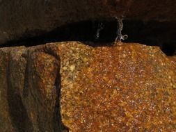 rock granite dripping water wet