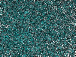 texture structure pattern
