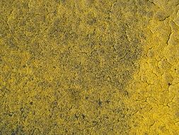 yellow grunge background concrete